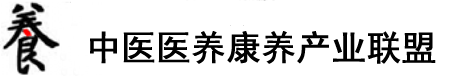 外国人操笔视频